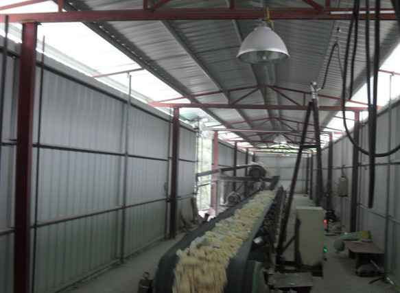 ʯӢɰ�ӹ���